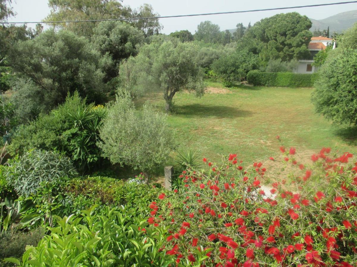Villa Verde Apart-Hotel Néa Mákri 外观 照片